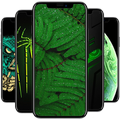 Green Wallpaper