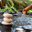 Water Wallpaper