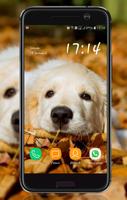 Animal Wallpaper screenshot 2