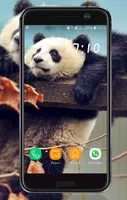 Animal Wallpaper 截圖 7