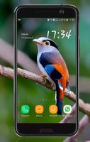 Bird Wallpaper স্ক্রিনশট 3