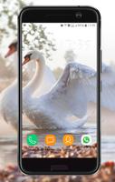 Bird Wallpaper স্ক্রিনশট 2