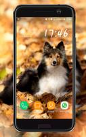 Dog Wallpaper screenshot 3