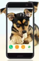 Dog Wallpaper plakat