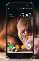 Dog Wallpaper screenshot 1