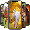 Horse Wallpaper