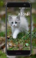 Kitten Wallpaper Ekran Görüntüsü 3