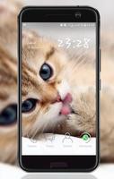 Kitten Wallpaper gönderen