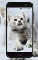 Kitten Wallpaper Ekran Görüntüsü 2