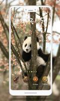 Panda Wallpaper ảnh chụp màn hình 3