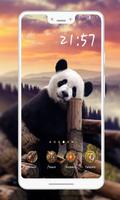 Panda Wallpaper bài đăng