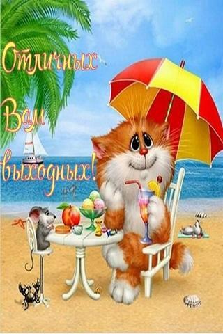 https://image.winudf.com/v2/image1/Y29tLmFuZHJvbW8uZGV2ODI0MjA0LmFwcDEwMDgxMjFfc2NyZWVuXzFfMTU2NjUzNjQ2M18wNTg/screen-1.jpg?fakeurl=1&amp;type=.jpg