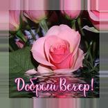 Картинки - Добрый вечер!