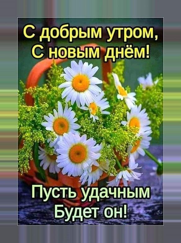 Otkrytka S Dobrym Utrom S Novym Dnem