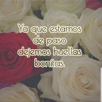 Frases de Vida gönderen