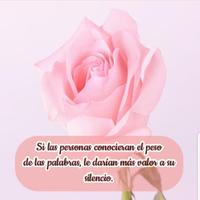 Frases de Vida Ekran Görüntüsü 1