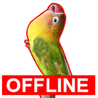 Masteran Lovebird Offline Kicau Love Bird icône