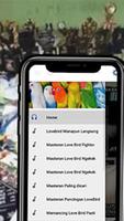 Masteran Lovebird Offline Kicau Love Bird capture d'écran 2