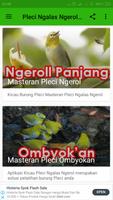 Pleci ngeRoll Nembak Gacor Ofl स्क्रीनशॉट 1
