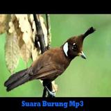 Cililin mp3 Zeichen
