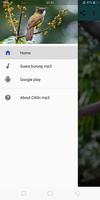 Cililin mp3 স্ক্রিনশট 1