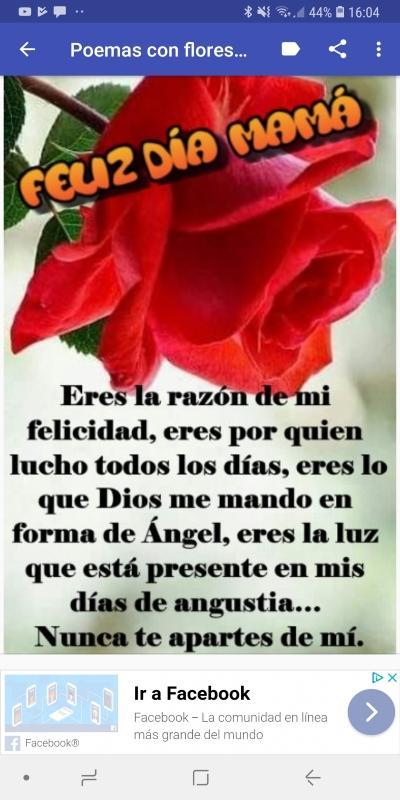 Poemas Y Flores Para Mama For Android Apk Download