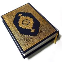 القرأن الكريم تصوير الشاشة 1