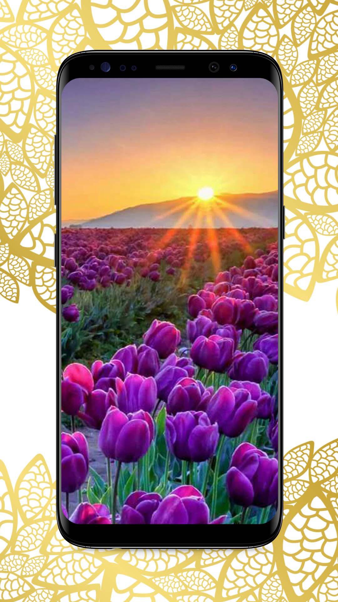 Flower Garden Wallpaper APK for Android Download