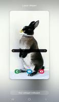 New Rabbit Wallpaper ポスター