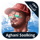 Soolking  - (chansons sans Net APK
