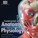 Psychology and Anatomy アイコン