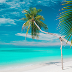 Beach Wallpaper icône
