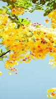 Flower Wallpaper الملصق