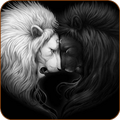 Wild Animal Wallpapers