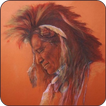Native Wallpaper icono
