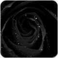 Black Wallpapers
