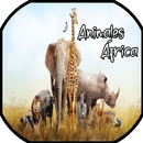 Animales de África Fondo de Pantalla, Wallpaper HD APK