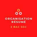 Organisation : Résumé (2BAC Sc APK