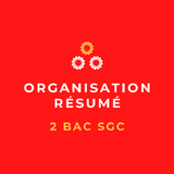 Organisation : Résumé (2BAC Sc icône