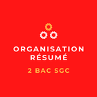 Organisation : Résumé (2BAC Sc icône