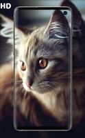 Cat Wallpapers Affiche