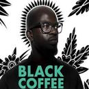 Black Coffee (DJ) Songs APK