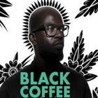 Black Coffee (DJ) Songs icône