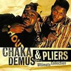 Chaka Demus and Pliers icon