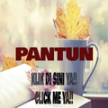 Pantun
