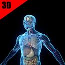 Anatomy and Physiology Systems APK