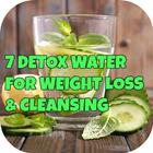 7 Natural Detox Water Drinks icône