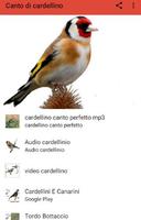 Canto di cardellino Cartaz