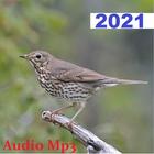 Song Thrush icon