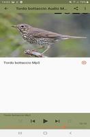 Song Thrush screenshot 1